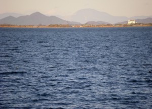 今日の打出浜 2008.12.14