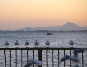 今日の打出浜 2009.12.22