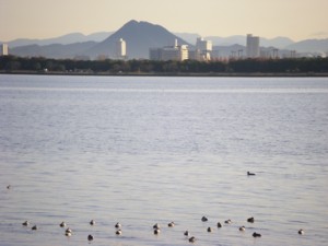 今日の打出浜 2009.12.15
