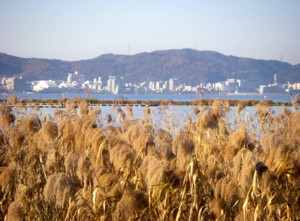 琵琶湖逍遙13周目-4 2009.12.08