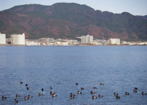 今日の打出浜 2009.12.15