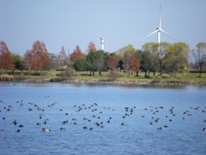 琵琶湖逍遙13周目-4 2009.12.08