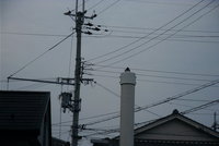 僕の庭。