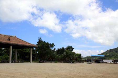 そうだ、由布島へ行こう!!