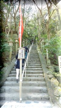 グリーン&イエロー☆