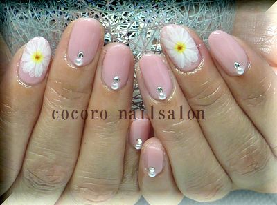 大きなお花。 大きなお花。