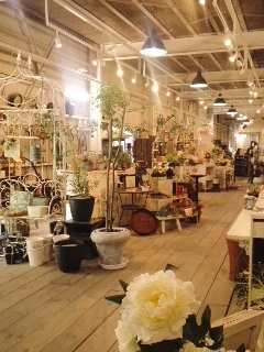 信楽 「 かまーとの森 」 へ ・・・ 信楽 「 かまーとの森 」 へ ・・・