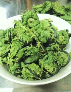 かまーとの森 & こごみ かまーとの森 & こごみ