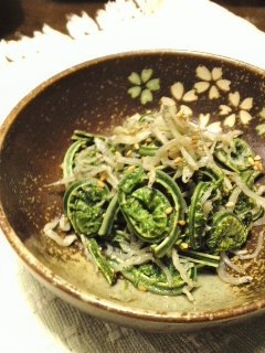 かまーとの森 & こごみ かまーとの森 & こごみ