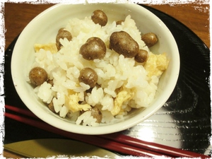 新作ロングネックレス ♪ 新作ロングネックレス ♪