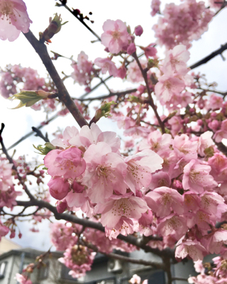 4月~6月 ビーズ教室日程 4月~6月 ビーズ教室日程