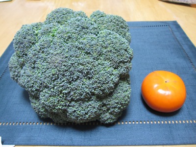 昨日は戴き物DAY♪