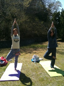たくさんのtree pose