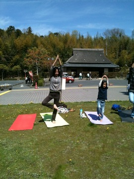 たくさんのtree pose