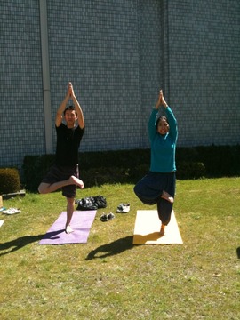 たくさんのtree pose