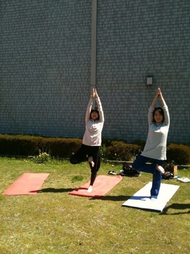 たくさんのtree pose