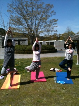たくさんのtree pose