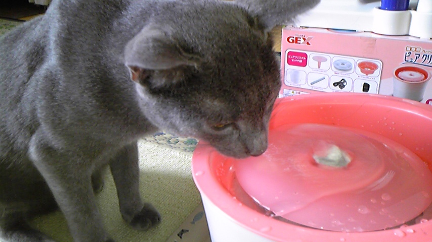 お水が美味しいね。