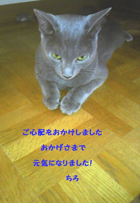 「肝っ玉」ちいさすぎぃ・・・