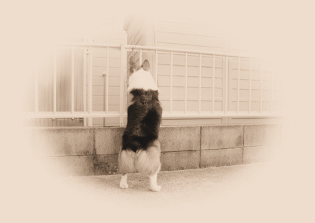 のぞき見...