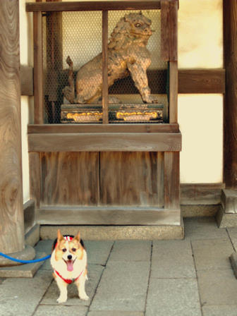 ちろる / 尾賀商店前まで行く ! !