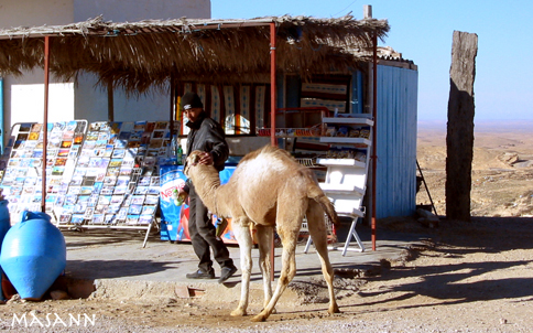 サハラ砂漠、チュニジアへの旅　