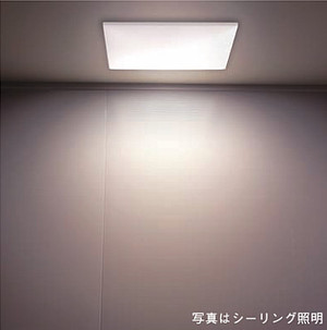 オレンジ色か白色か、それが問題だ・・・ オレンジ色か白色か、それが問題だ・・・