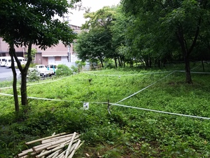 能登川南小、八日市南高校の森林再生プロジェクトで猪子山の古墳周辺を整備 能登川南小、八日市南高校の森林再生プロジェクトで猪子山の古墳周辺を整備