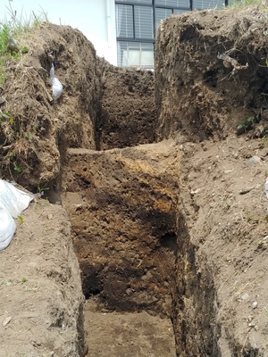 湖東第三小学校6年生が小田苅古墳の発掘調査を見学しました。