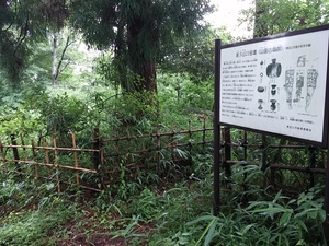 能登川南小、八日市南高校の森林再生プロジェクトで猪子山の古墳周辺を整備 能登川南小、八日市南高校の森林再生プロジェクトで猪子山の古墳周辺を整備