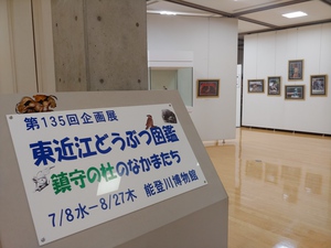 ７月８日～　能登川博物館「東近江どうぶつ図鑑ー鎮守の杜のなかまたちー」　開催中！