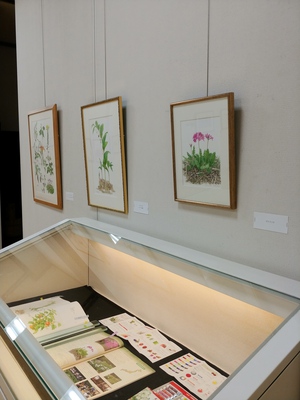 10月7日まで 能登川図書館秋季企画展「山根悦子絵本原画展-身近な植物を描く-」開催中! 10月7日まで 能登川図書館秋季企画展「山根悦子絵本原画展-身近な植物を描く-」開催中!