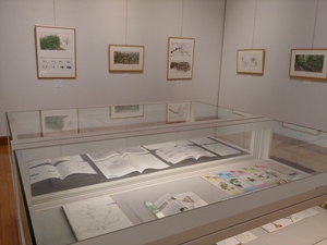 10月7日まで 能登川図書館秋季企画展「山根悦子絵本原画展-身近な植物を描く-」開催中! 10月7日まで 能登川図書館秋季企画展「山根悦子絵本原画展-身近な植物を描く-」開催中!
