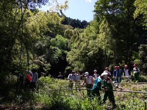 能登川南小学校の猪子山森林再生プロジェクトで市史跡内を整備 能登川南小学校の猪子山森林再生プロジェクトで市史跡内を整備