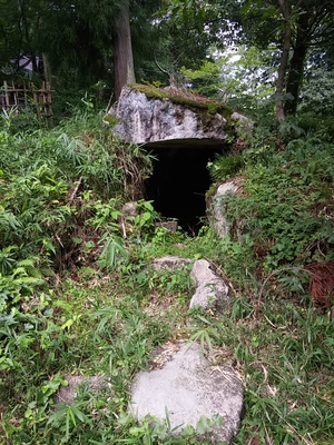 能登川南小学校の猪子山森林再生プロジェクトで市史跡内を整備 能登川南小学校の猪子山森林再生プロジェクトで市史跡内を整備