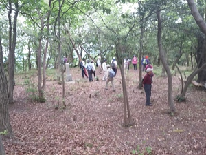 能登川の遺跡と祭りを探訪しました! 能登川の遺跡と祭りを探訪しました!