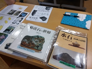 とても不思議な美しい花石「菊花石展」 とても不思議な美しい花石「菊花石展」