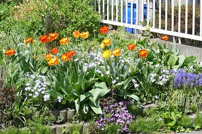 春の園芸