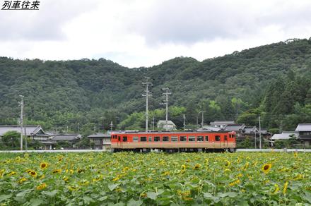 ひまわり畑へ。