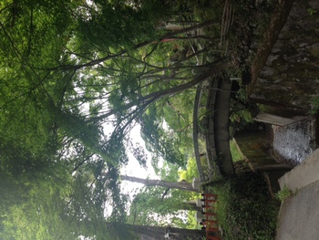 お打合せに神社巡り♡