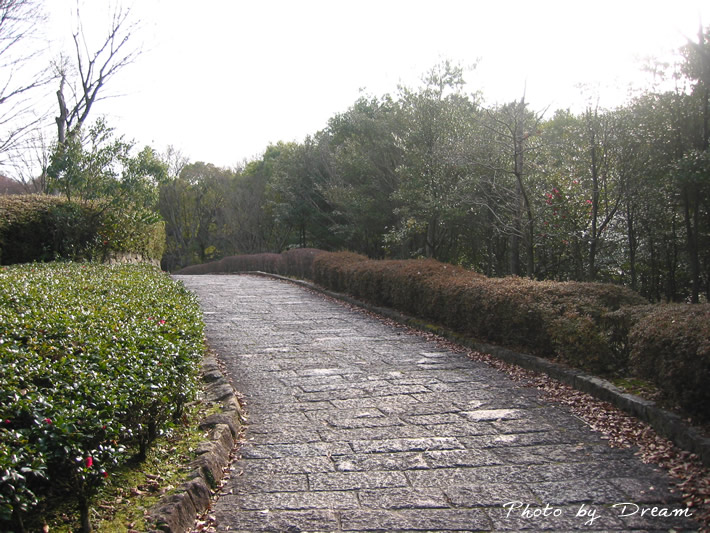 フォトグラフ びわこ文化公園