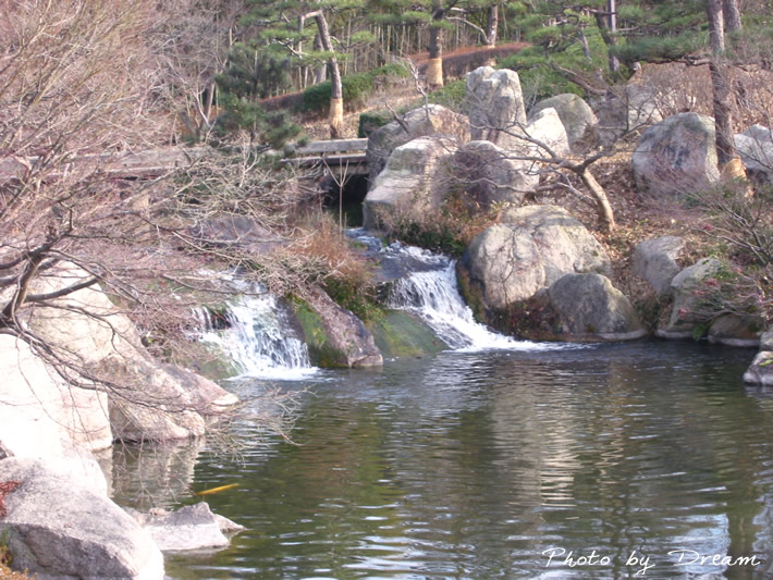 フォトグラフ びわこ文化公園
