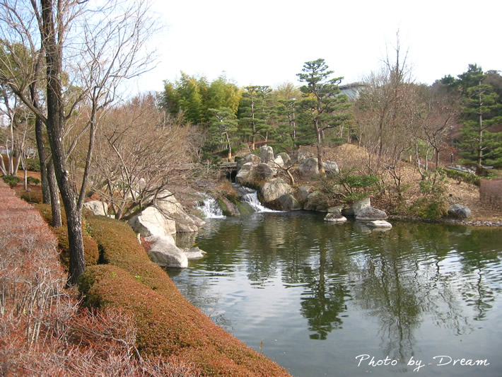フォトグラフ びわこ文化公園