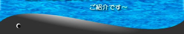 千と風の便り・・・