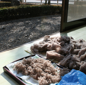 フェルト合宿のこと
