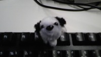 デスクの上