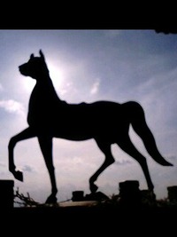 太郎坊宮にて