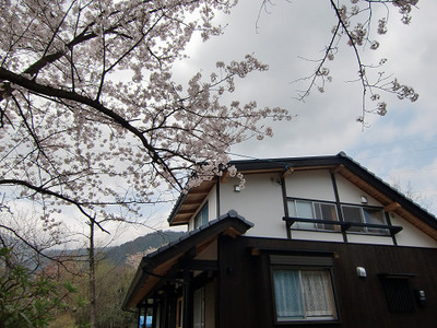 桜の天神山荘と笑顔のお家