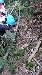 2団 やまんばの森へ 2016.4.16 2団 やまんばの森へ 2016.4.16