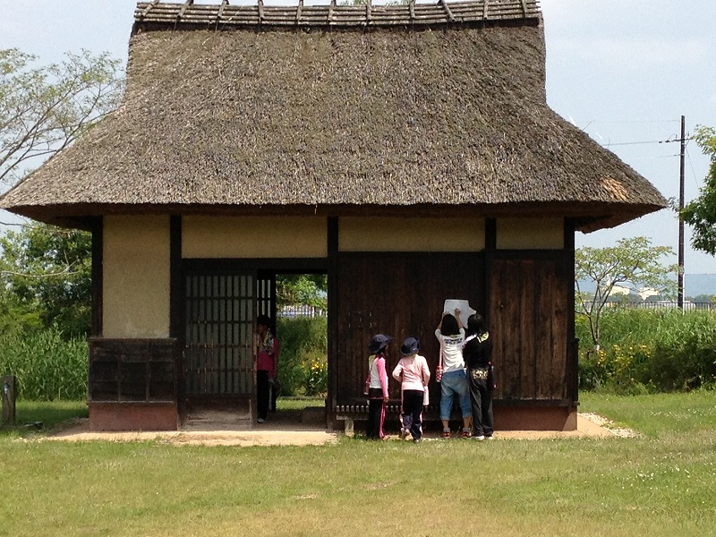 公園内の散策2